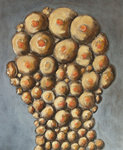 Maksym Maksymowicz  - untitled a36
