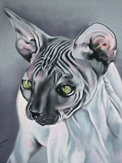 Sphynx