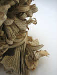 Boek sculpturen