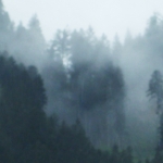 Landschap 3 景三 Landschap 3 景三