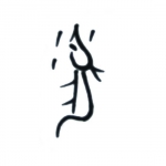 Muis 鼠 Muis 鼠