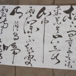 Fragment 6 Fragment 6