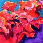 N134 bougainvillea N134 bougainvillea