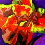 N189 Canna N189 Canna
