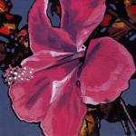 N266 hibiscus N266 hibiscus