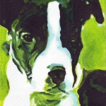D257 hond D257 hond