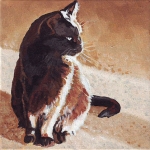 D413 poes D413 poes