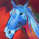 D134 paard D134 paard