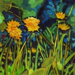 N269 paardebloemen N269 paardebloemen