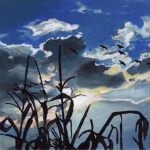 V65 wolkenlucht V65 wolkenlucht