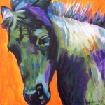 D137 pony D137 pony