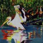D298 vogels D298 vogels