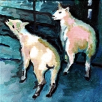 D302 schapen 9 D302 schapen 9