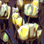 N224 tulpen 15 N224 tulpen 15