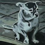 D314 hond D314 hond