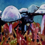V41 paddestoelen V41 paddestoelen