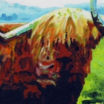 D329 schotse hooglander D329 schotse hooglander