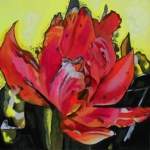 N277 tulp N277 tulp