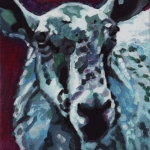D341 schaap D341 schaap