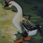 D350 wilde gans D350 wilde gans