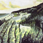 N241 duinen N241 duinen