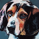 D447 Beagle D447 Beagle