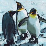 D352 pinguins D352 pinguins