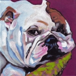 D445 buldog D445 buldog