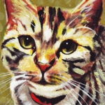 D353 kat D353 kat