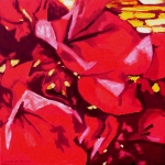 N150 bougainvillea 2 N150 bougainvillea 2