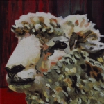 D355 schaap D355 schaap