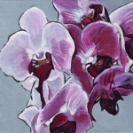 N278 orchidee N278 orchidee