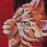 D357 kitten D357 kitten