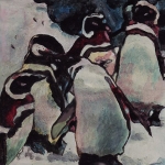 D366 pinguins D366 pinguins