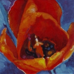 N255 tulp N255 tulp