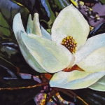 N256 Magnolia N256 Magnolia