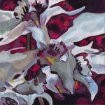 N257 orchidee N257 orchidee