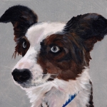 D456 hond D456 hond