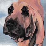D459 hond D459 hond