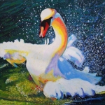 D156 zwaan 5 D156 zwaan 5