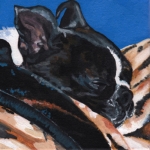 D466 hond D466 hond