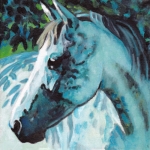 D471 paard D471 paard