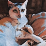 D474 kat D474 kat