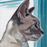 D475 kat D475 kat