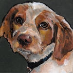 D477 hond D477 hond