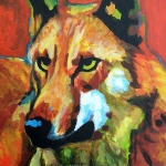 D162 wolf D162 wolf