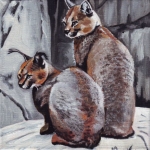 D393 caracals D393 caracals