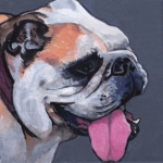 D481 buldog D481 buldog