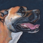 D486 hond D486 hond