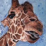 D490 giraffe D490 giraffe